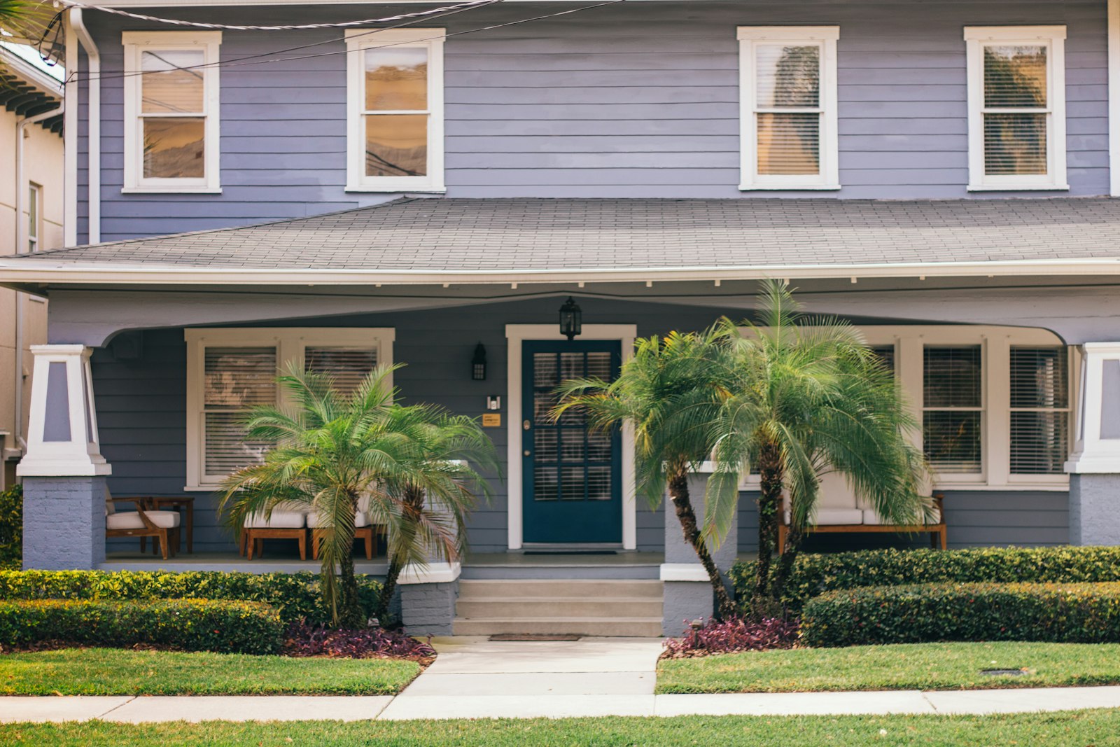 A blue house with palm trees in front